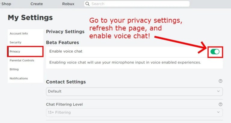 So erhalten Sie Roblox Voice Chat