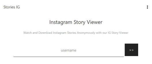 7 Bestes Instagram Story Viewer