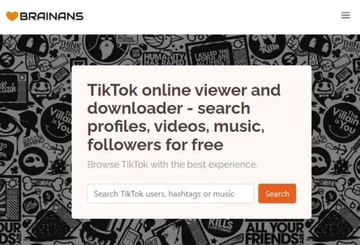 Top 6 TikTok-Online-Zuschauer
