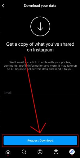 So beheben Sie, dass Zugriffsdaten nicht angezeigt werden Instagram